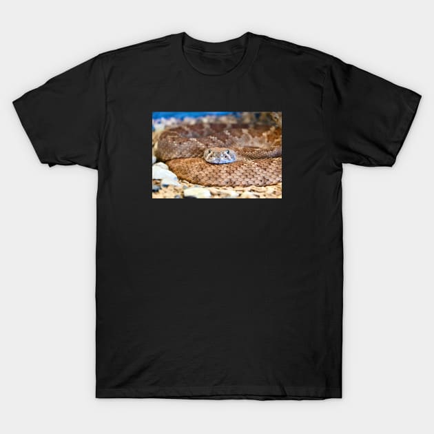 Snake VII / Swiss Artwork Photography T-Shirt by RaphaelWolf